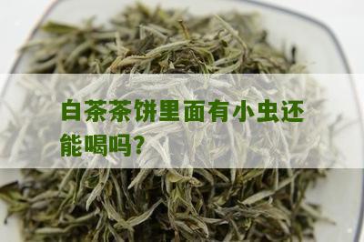 白茶茶饼里面有小虫还能喝吗？