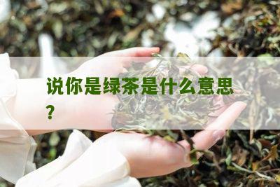 说你是绿茶是什么意思？