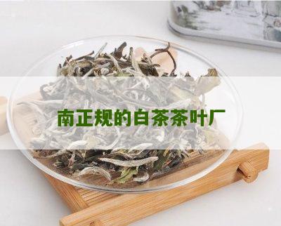 南正规的白茶茶叶厂