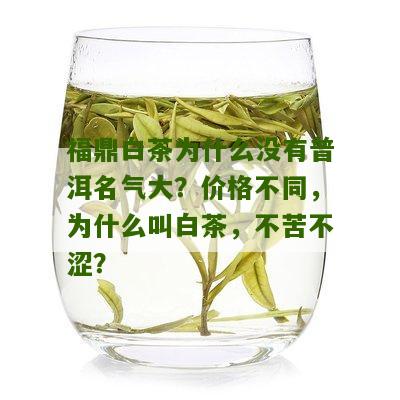 福鼎白茶为什么没有普洱名气大？价格不同，为什么叫白茶，不苦不涩？