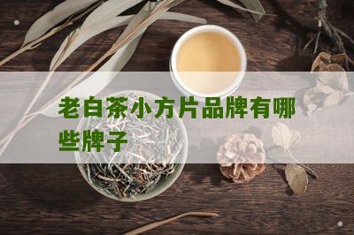 老白茶小方片品牌有哪些牌子