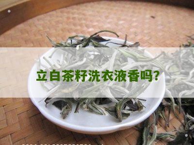 立白茶籽洗衣液香吗？