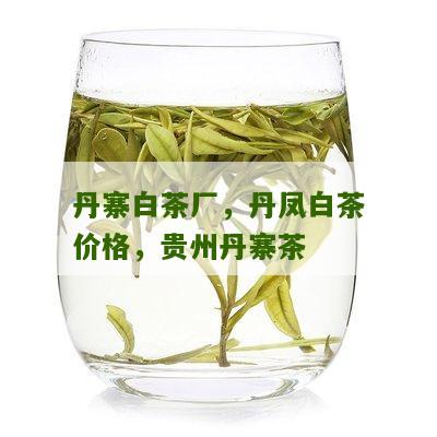 丹寨白茶厂，丹凤白茶价格，贵州丹寨茶