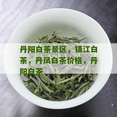 丹阳白茶景区，镇江白茶，丹凤白茶价格，丹阳白茶