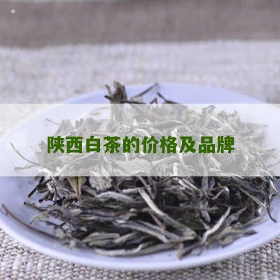 陕西白茶的价格及品牌