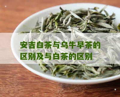 安吉白茶与乌牛早茶的区别及与白茶的区别