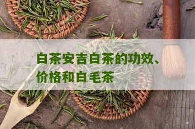 白茶安吉白茶的功效、价格和白毛茶