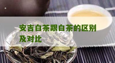 安吉白茶跟白茶的区别及对比