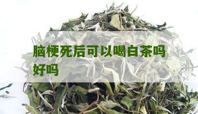 脑梗死后可以喝白茶吗好吗