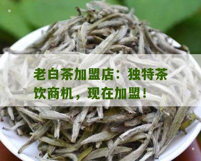 老白茶加盟店：独特茶饮商机，现在加盟！