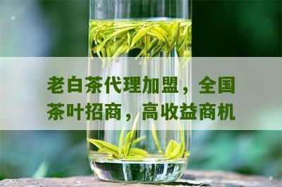 老白茶代理加盟，全国茶叶招商，高收益商机