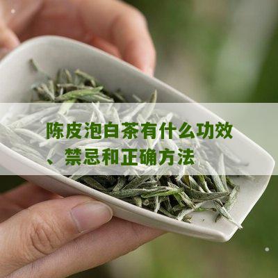 陈皮泡白茶有什么功效、禁忌和正确方法