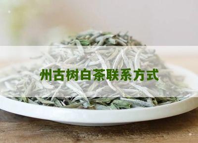 州古树白茶联系方式