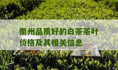 衢州品质好的白茶茶叶价格及其相关信息