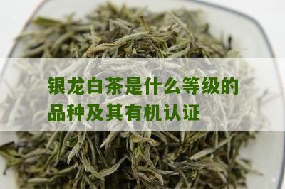 银龙白茶是什么等级的品种及其有机认证