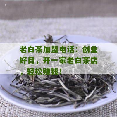 老白茶加盟电话：创业好目，开一家老白茶店，轻松赚钱！