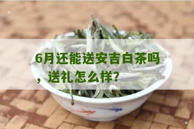 6月还能送安吉白茶吗，送礼怎么样？