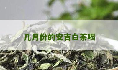 几月份的安吉白茶喝