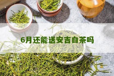 6月还能送安吉白茶吗