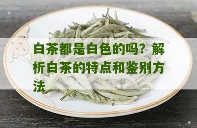 白茶都是白色的吗？解析白茶的特点和鉴别方法