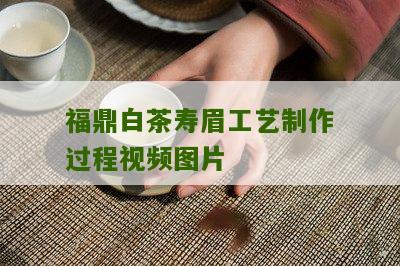 福鼎白茶寿眉工艺制作过程视频图片