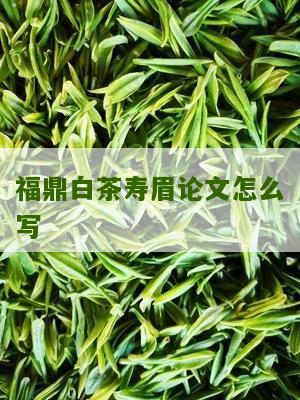 福鼎白茶寿眉论文怎么写