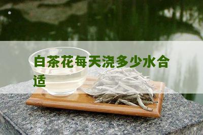 白茶花每天浇多少水合适