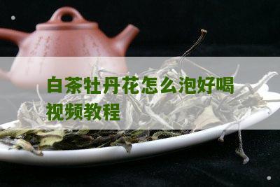 白茶牡丹花怎么泡好喝视频教程