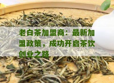 老白茶加盟商：最新加盟政策，成功开启茶饮创业之路