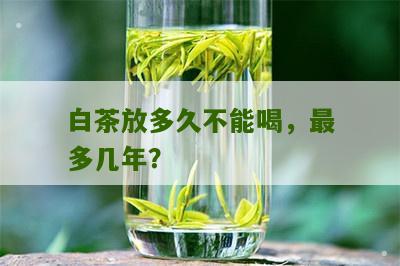 白茶放多久不能喝，最多几年？