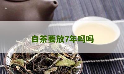 白茶要放7年吗吗