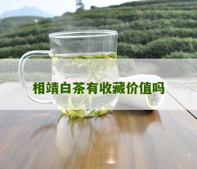 相靖白茶有收藏价值吗