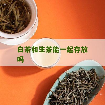 白茶和生茶能一起存放吗