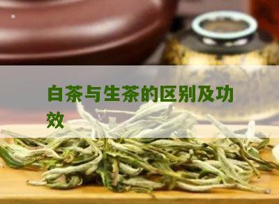 白茶与生茶的区别及功效