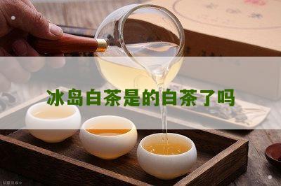 冰岛白茶是的白茶了吗