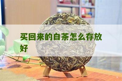 买回来的白茶怎么存放好