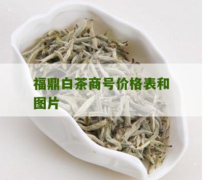 福鼎白茶商号价格表和图片