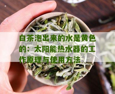 白茶泡出来的水是黄色的：太阳能热水器的工作原理与使用方法