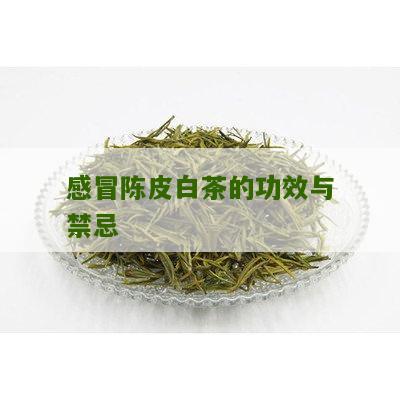 感冒陈皮白茶的功效与禁忌