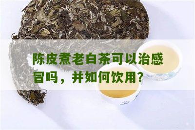 陈皮煮老白茶可以治感冒吗，并如何饮用？