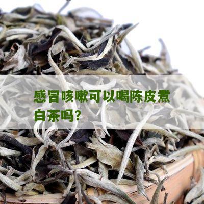 感冒咳嗽可以喝陈皮煮白茶吗？