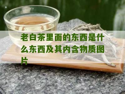 老白茶里面的东西是什么东西及其内含物质图片