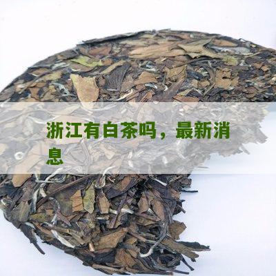 浙江有白茶吗，最新消息