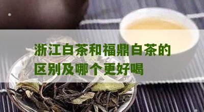 浙江白茶和福鼎白茶的区别及哪个更好喝