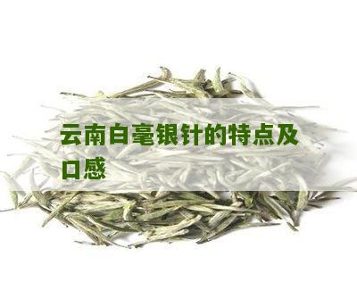 云南白毫银针的特点及口感