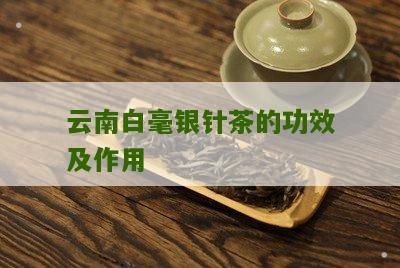 云南白毫银针茶的功效及作用