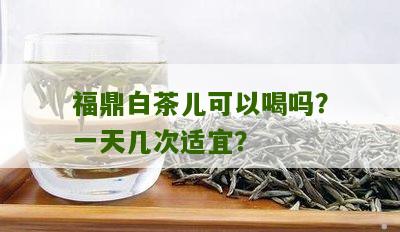 福鼎白茶儿可以喝吗？一天几次适宜？