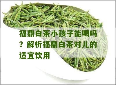 福鼎白茶小孩子能喝吗？解析福鼎白茶对儿的适宜饮用