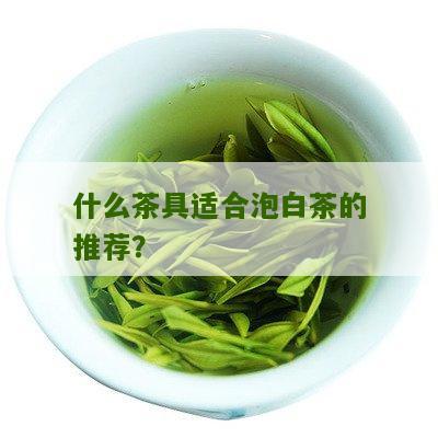 什么茶具适合泡白茶的推荐？