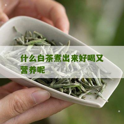 什么白茶煮出来好喝又营养呢